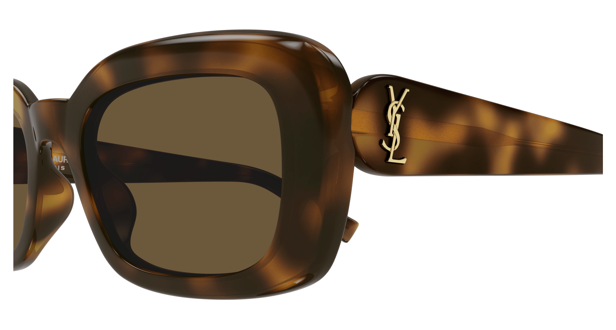 Havana Sunglasses Saint Laurent 889652454498