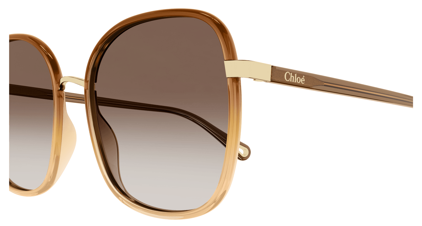Chloe CH0031S Sunglasses 889652451206