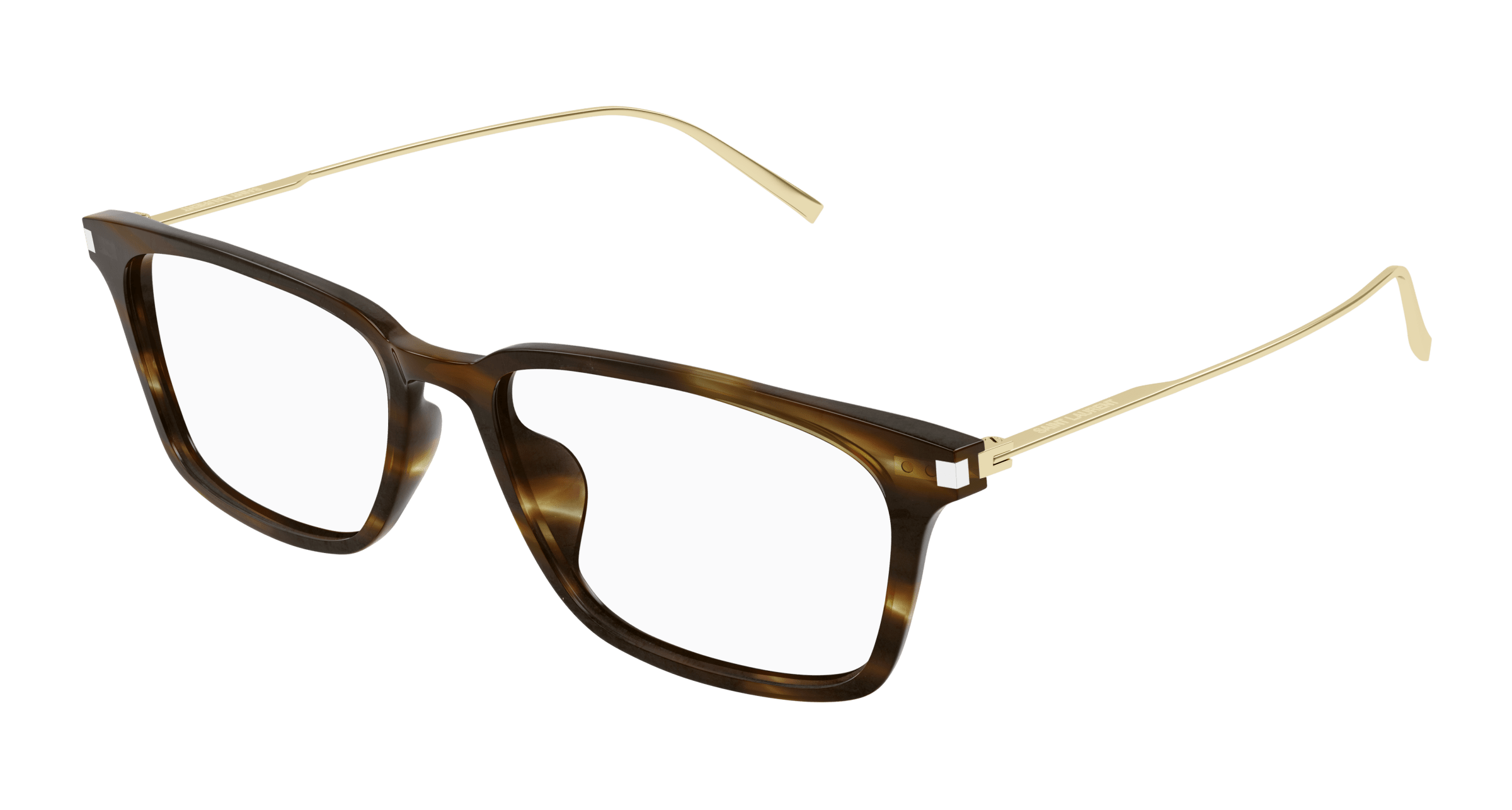 Havana Eyeglasses Saint Laurent 889652445991