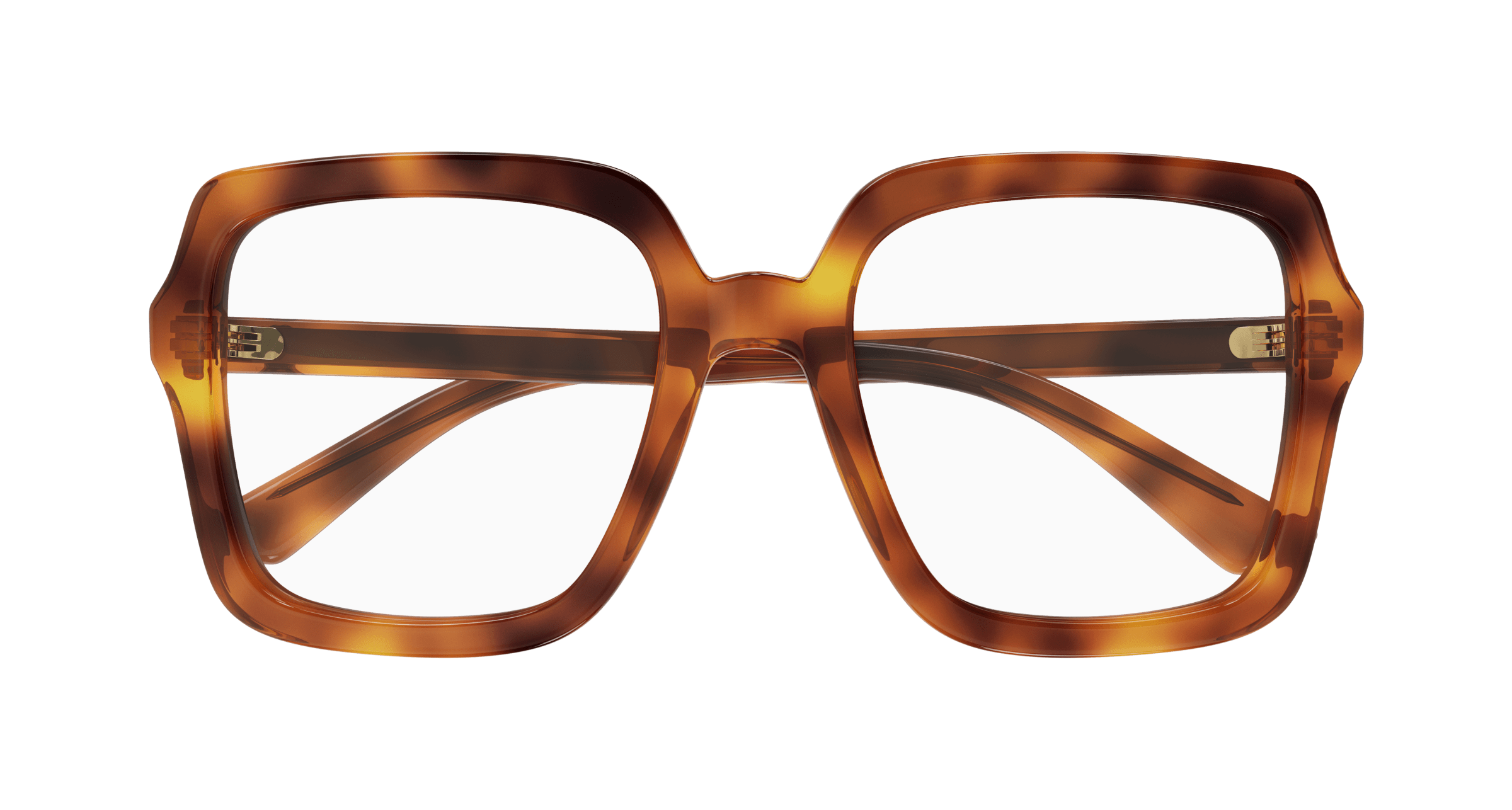 Havana Eyeglasses Gucci 889652411866