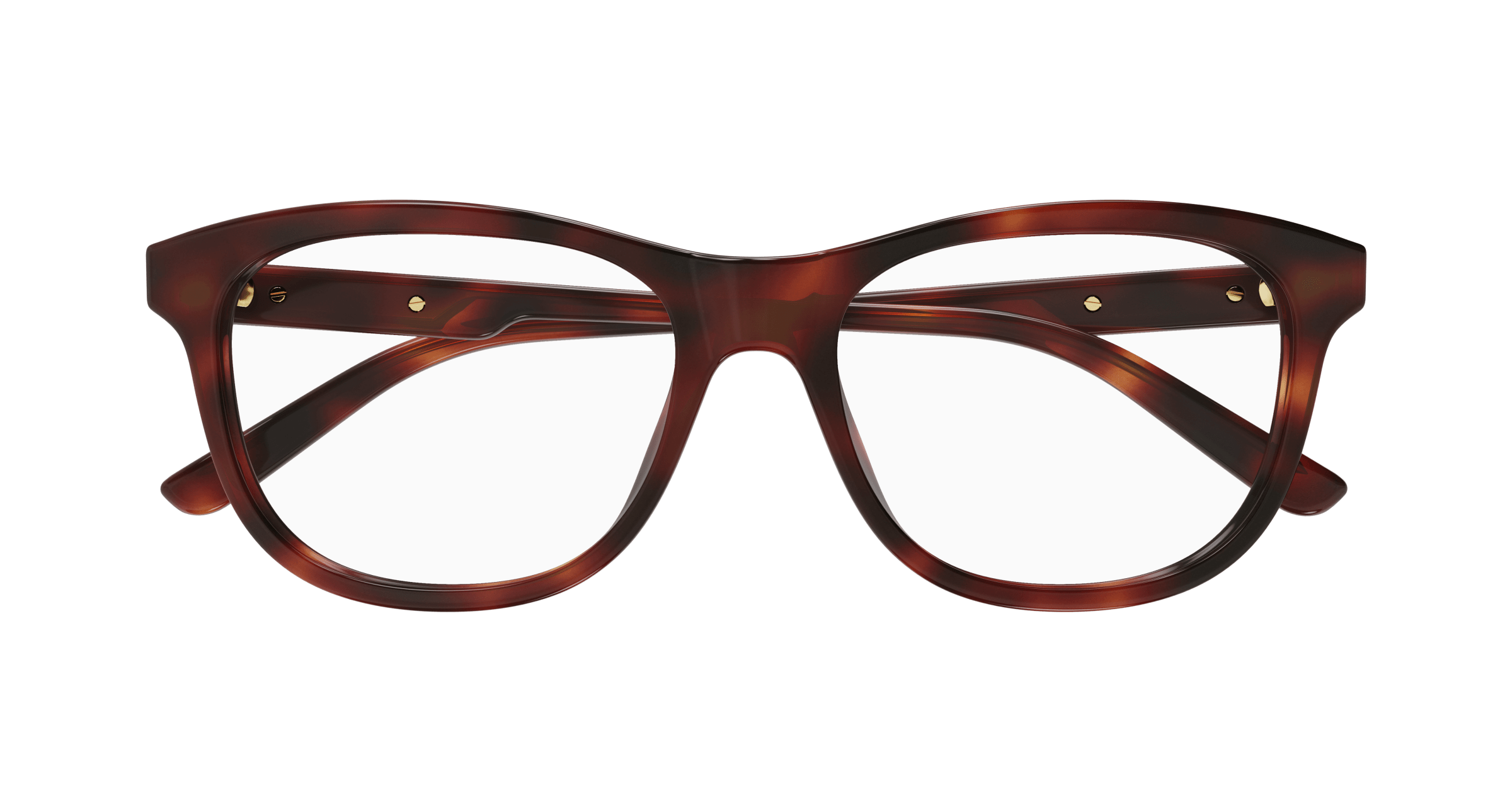 Havana Eyeglasses Gucci 889652414119