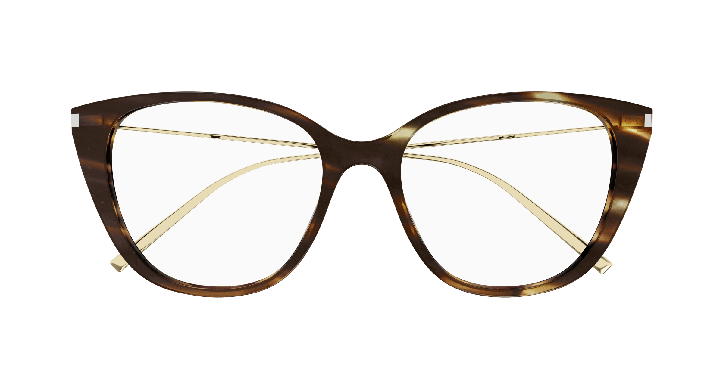 Havana Eyeglasses Saint Laurent 889652446172