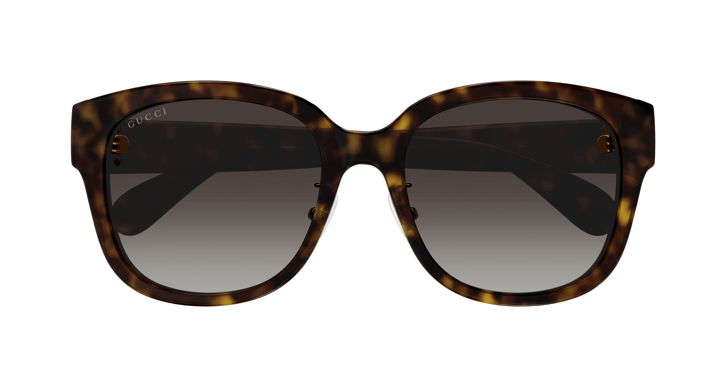 Havana Sunglasses Gucci 889652440743