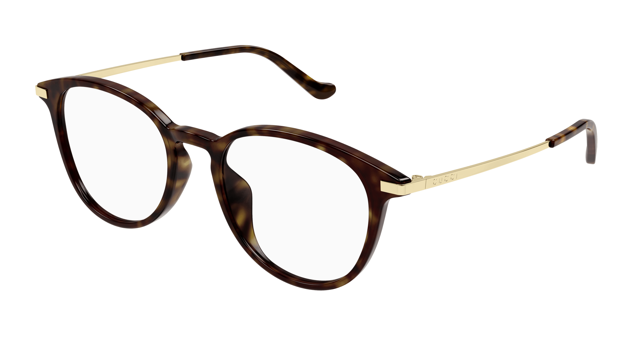 Havana Eyeglasses Gucci 889652440569