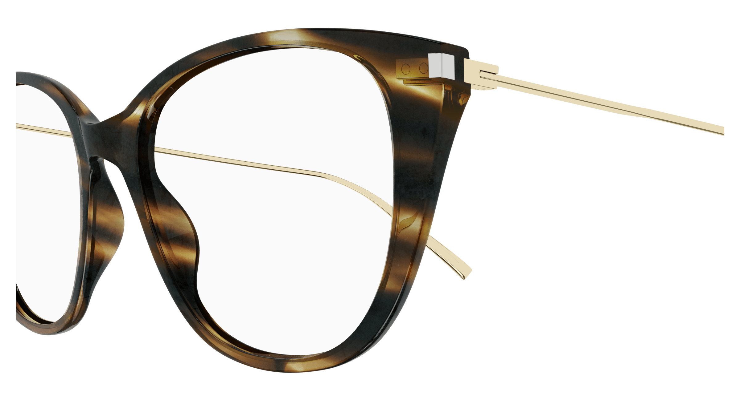 Havana Eyeglasses Saint Laurent 889652446172