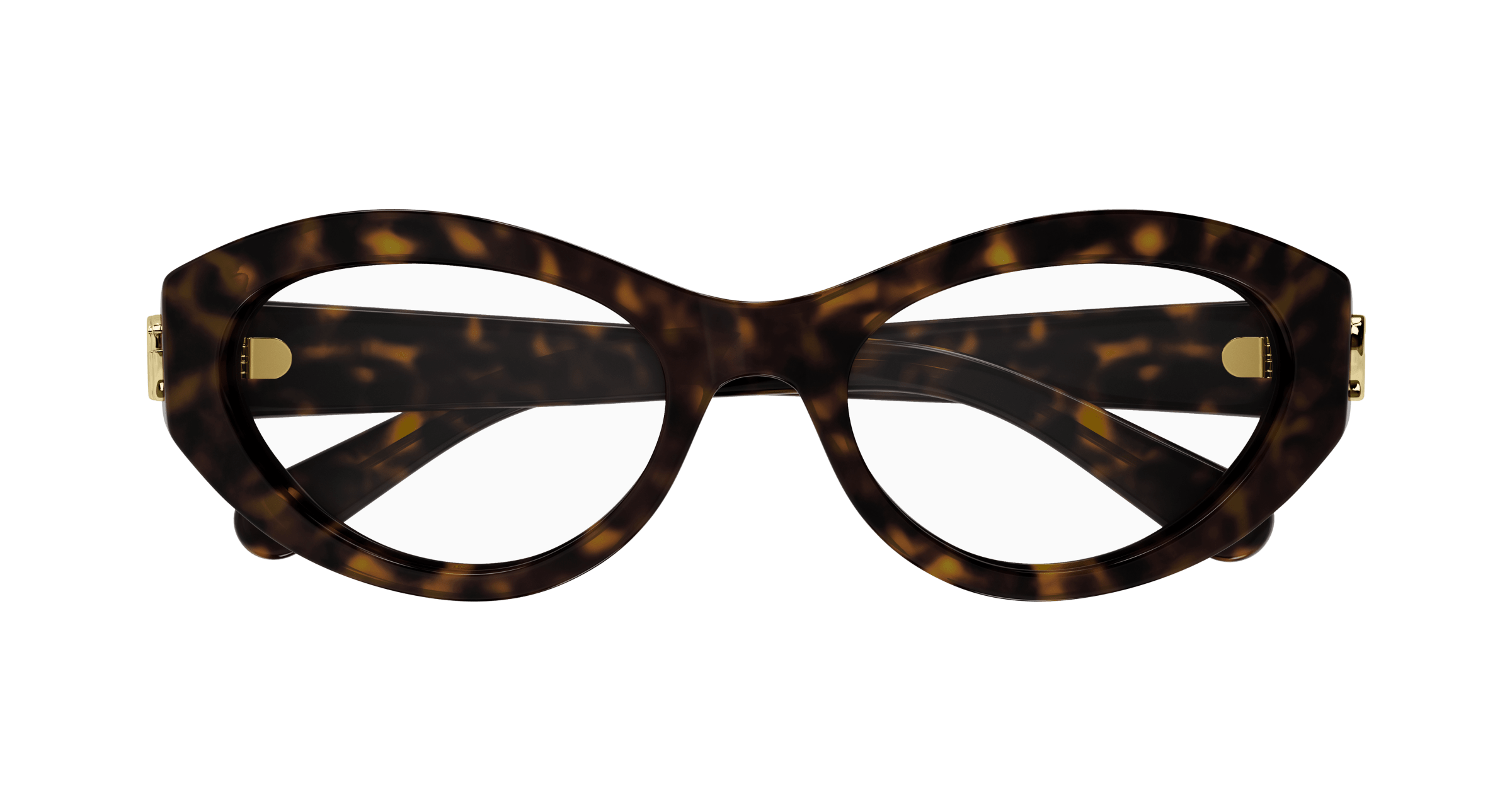 Havana Eyeglasses Gucci 889652440101