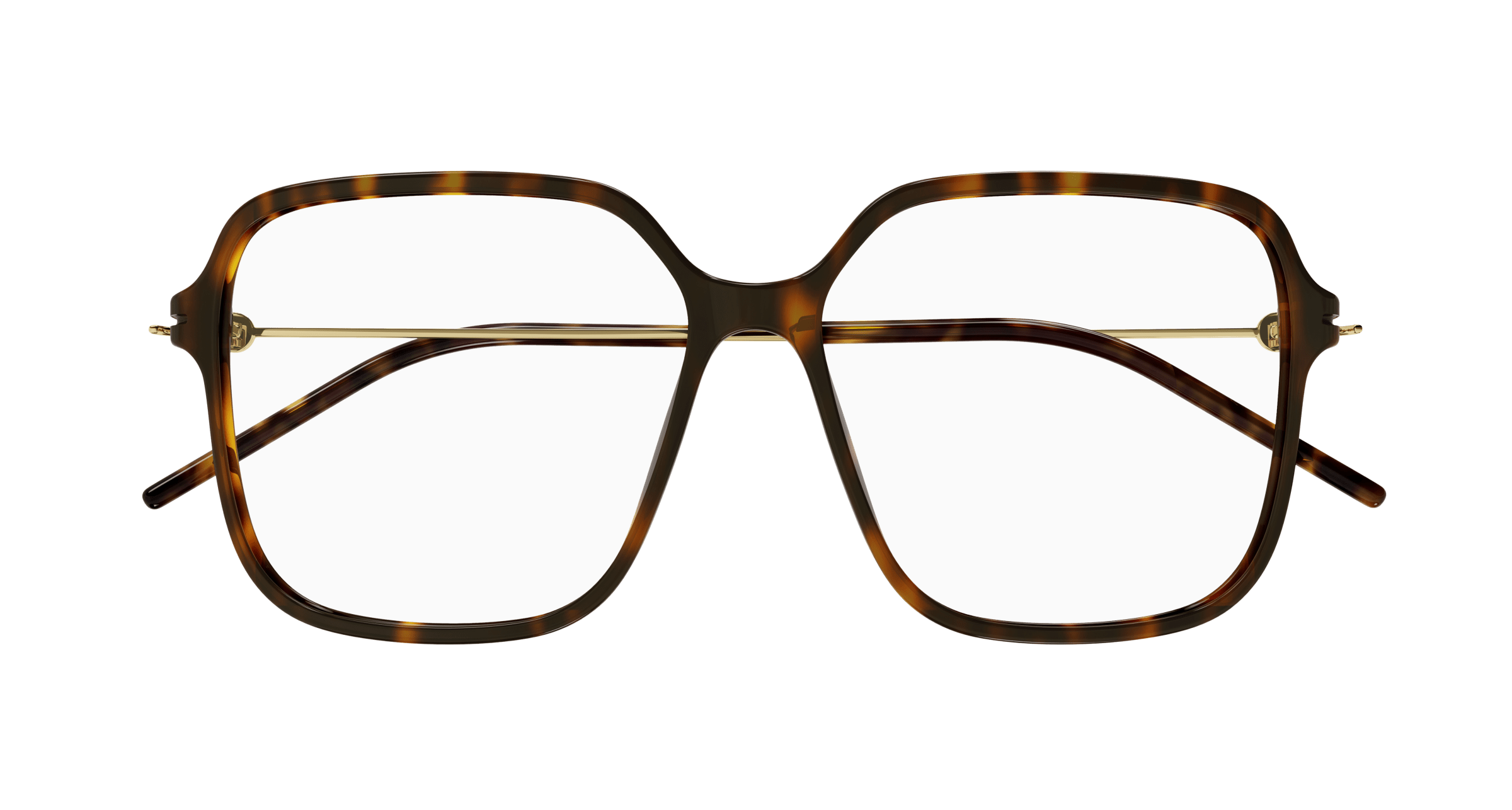 Havana Eyeglasses Gucci 889652416069