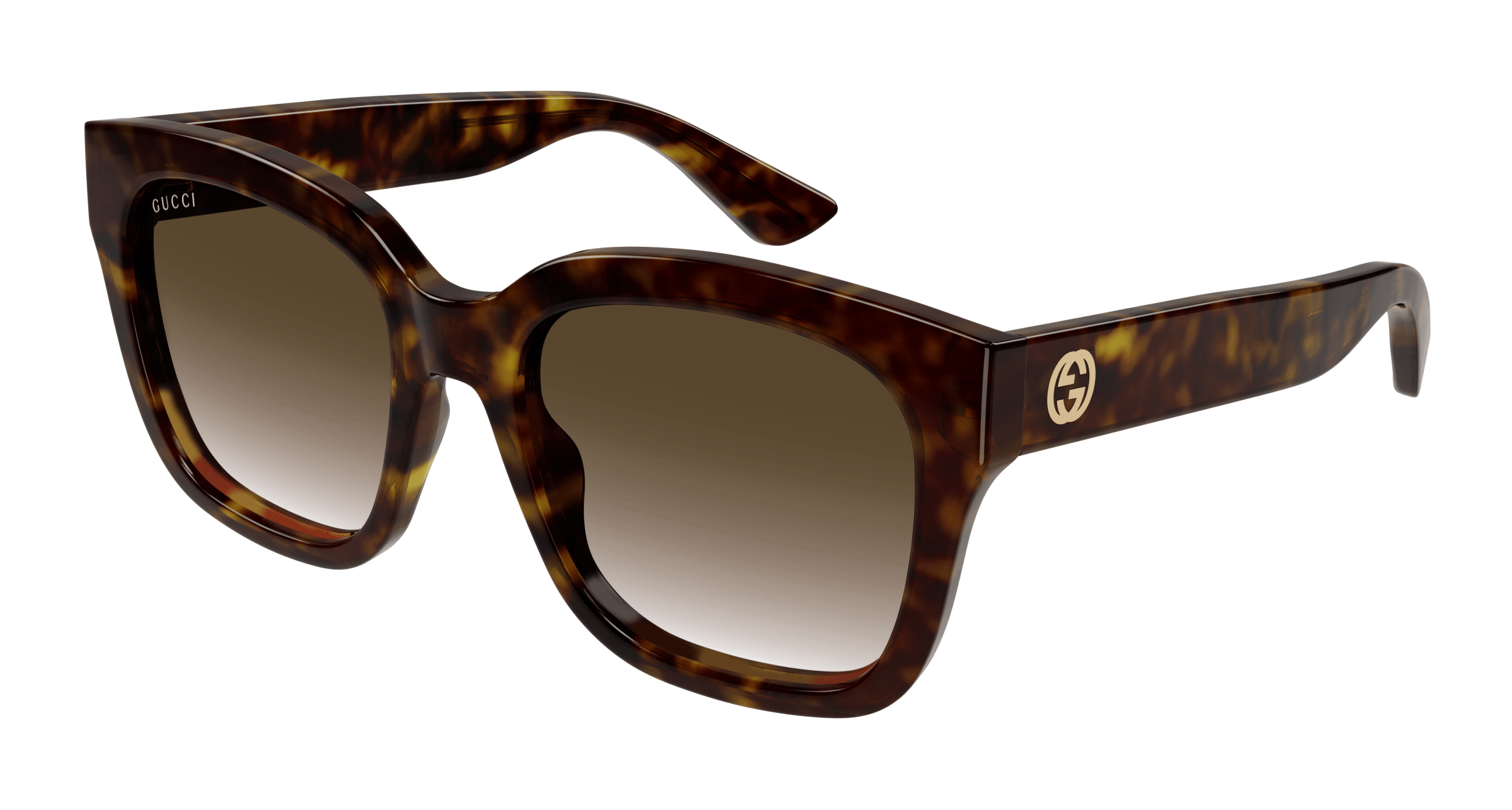 Havana Sunglasses Gucci 889652412900