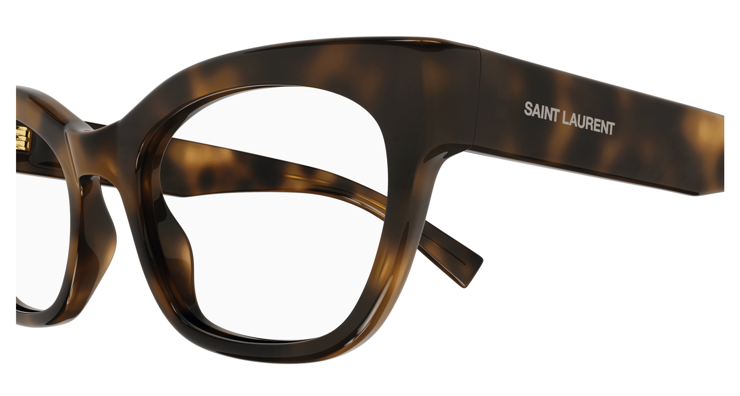 Havana Eyeglasses Saint Laurent 889652453712