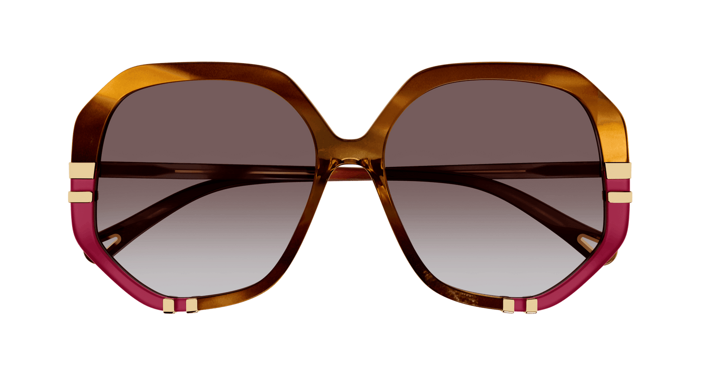 Chloe CH0105S Sunglasses 889652451176