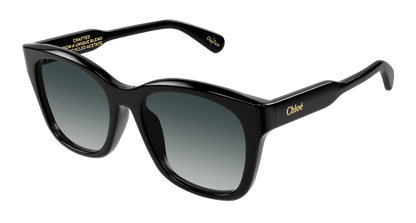 Chloe CH0194SK Sunglasses 889652450278
