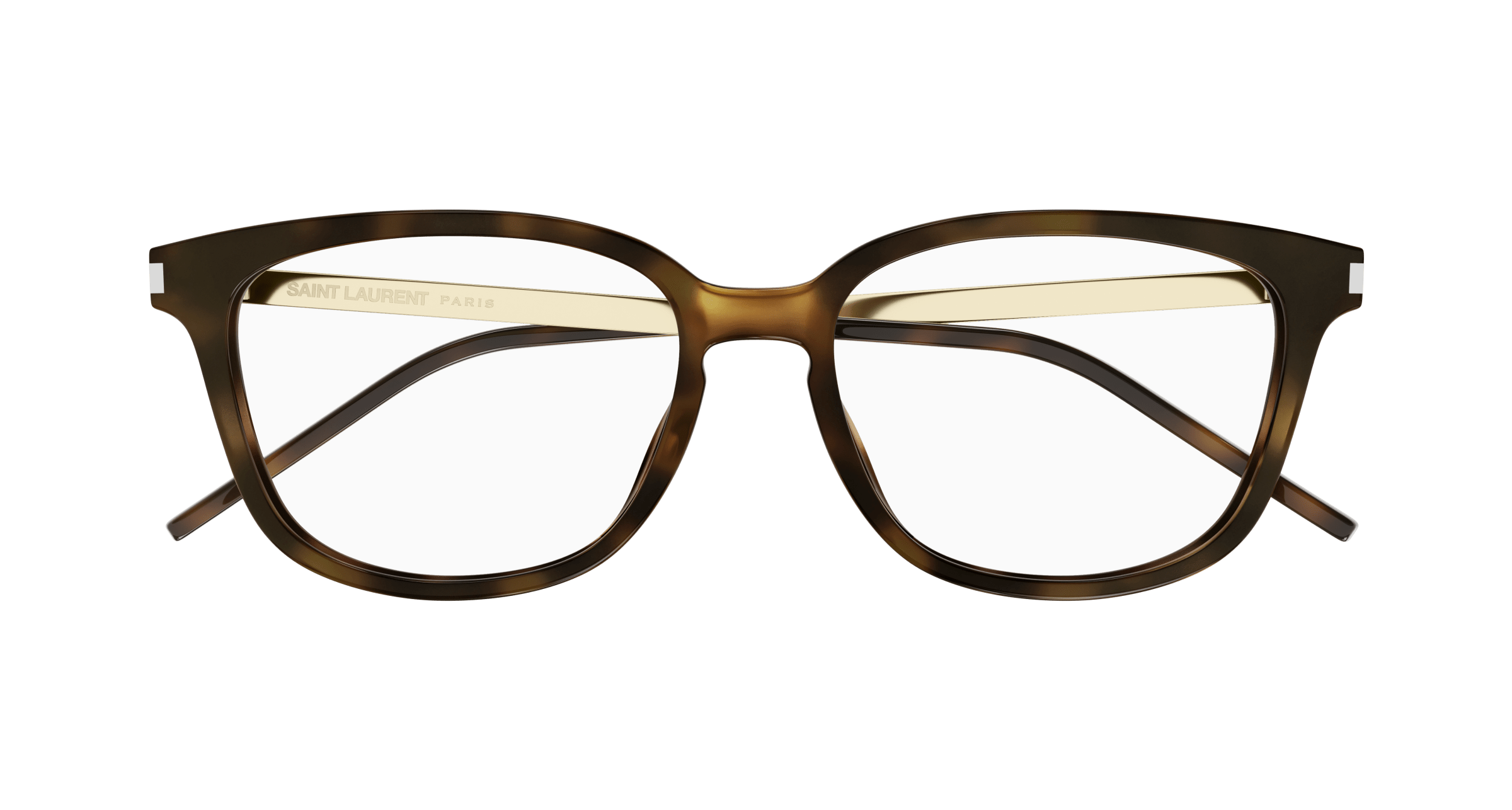 Havana Eyeglasses Saint Laurent 889652453859