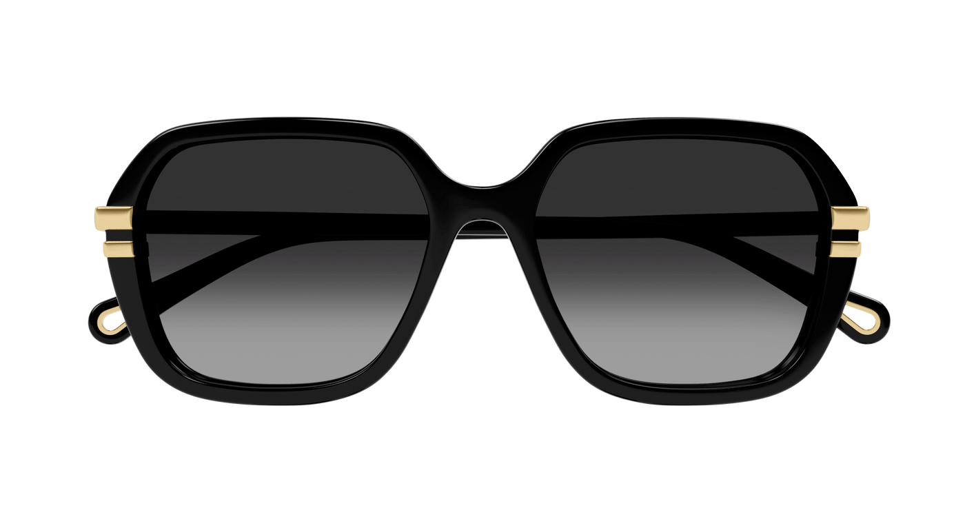 Chloe CH0204S Sunglasses 889652451916