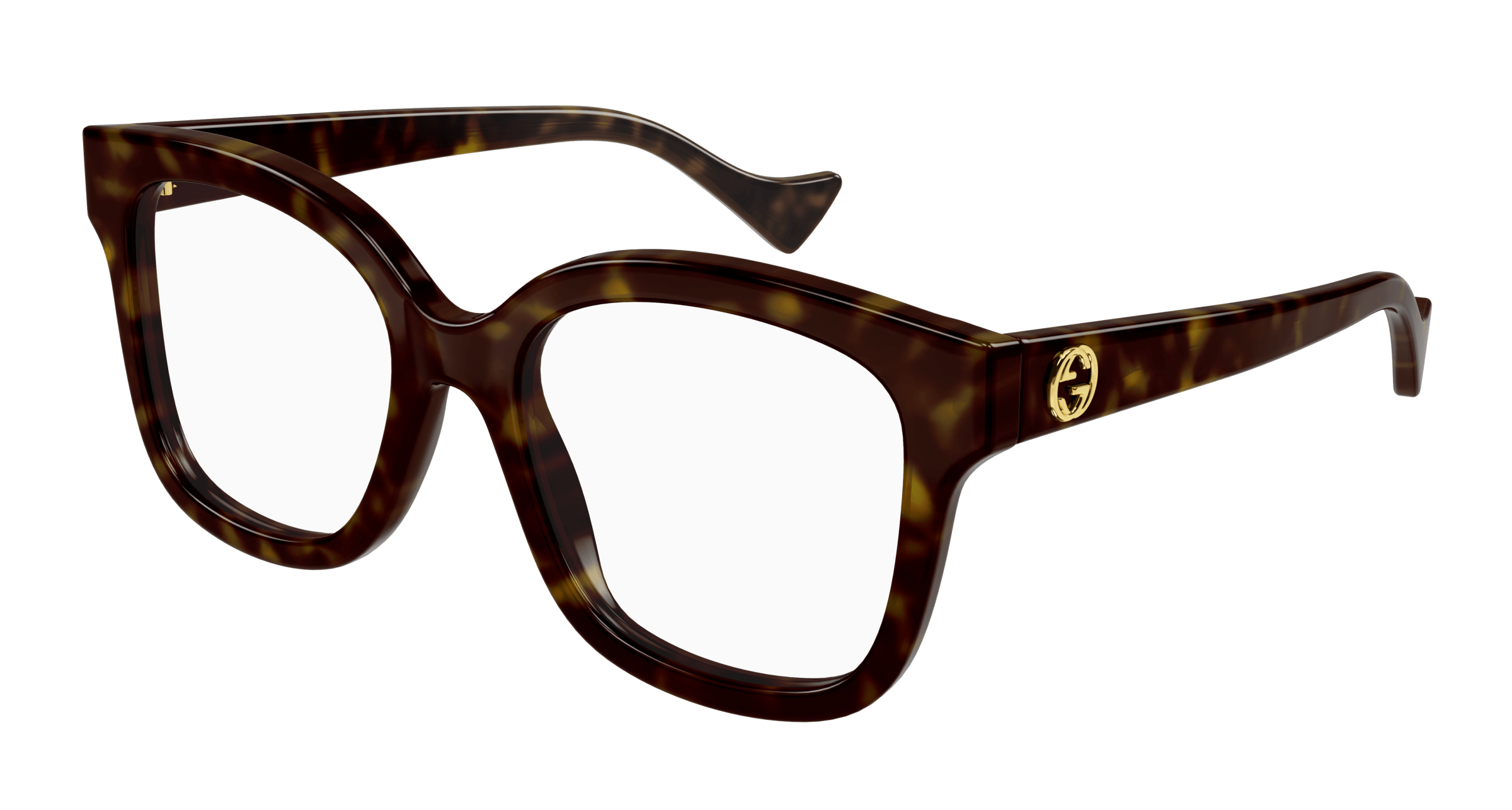 Havana Eyeglasses Gucci 889652412184