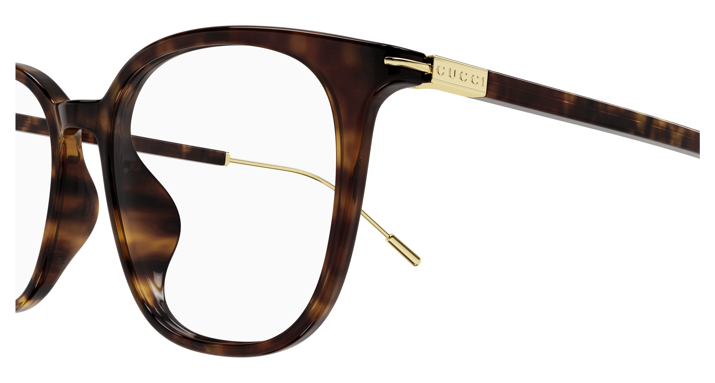 Havana Eyeglasses Gucci 889652415772