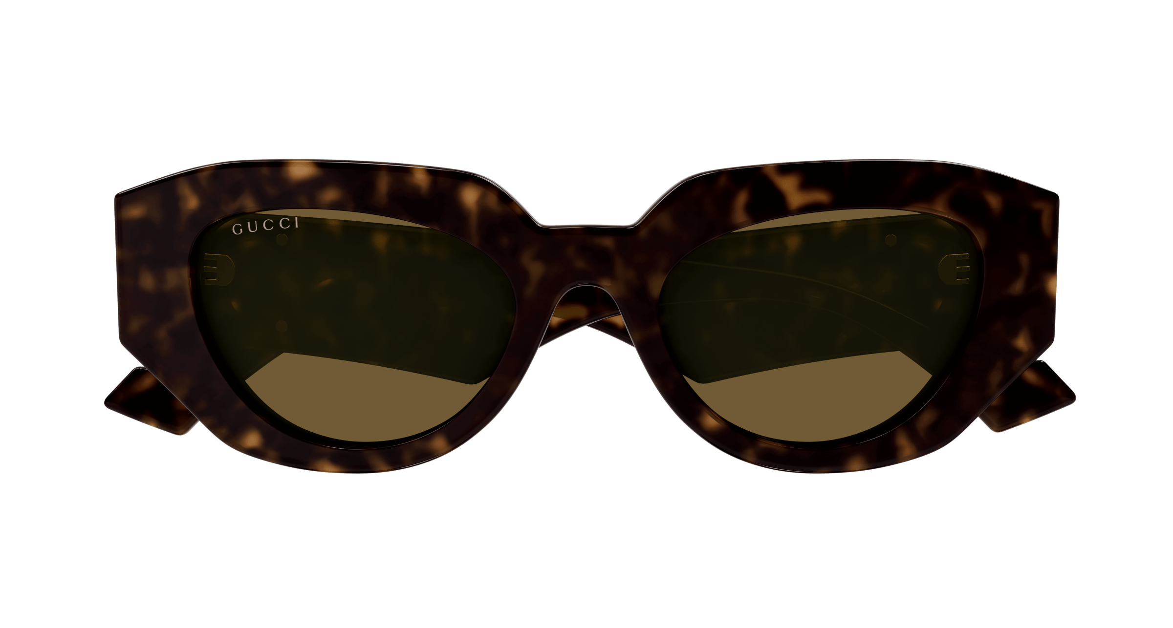 Havana Sunglasses Gucci 889652439082