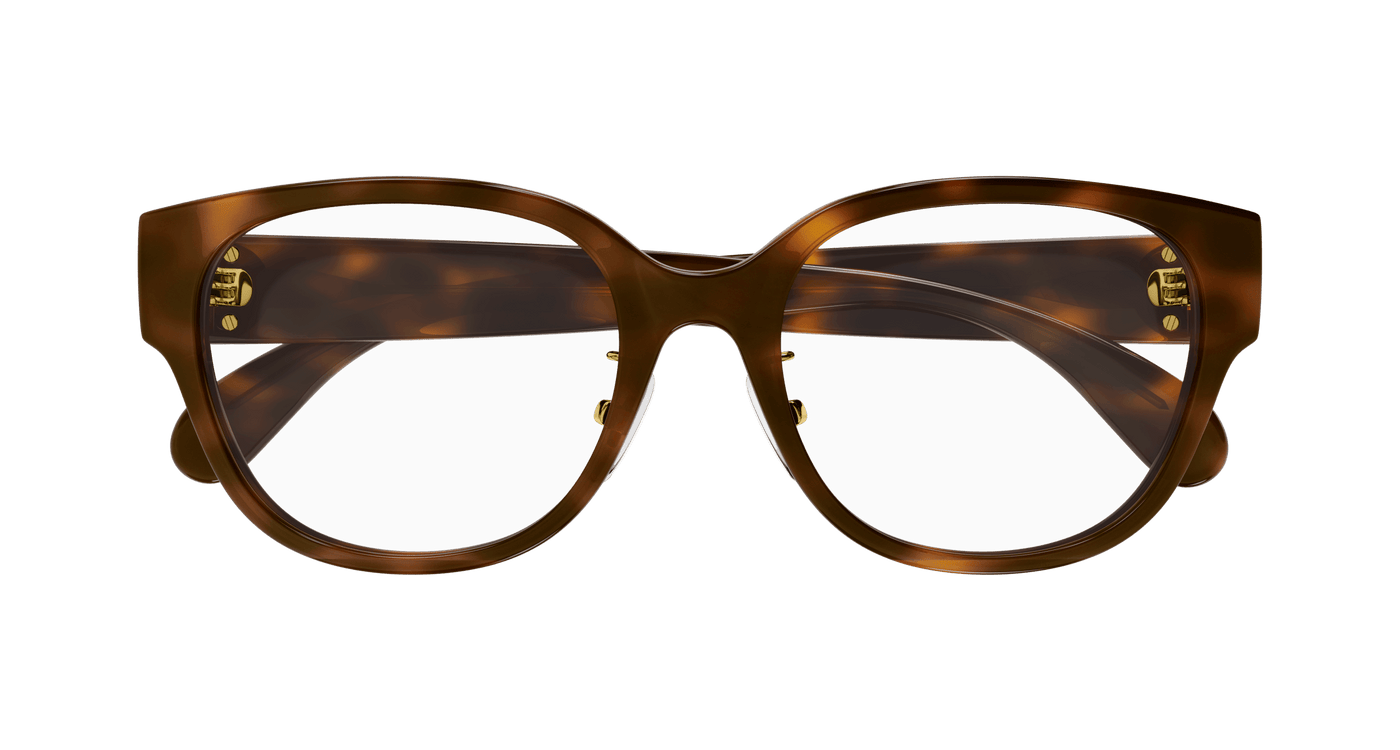 Gucci GG1411OK Havana 889652440798
