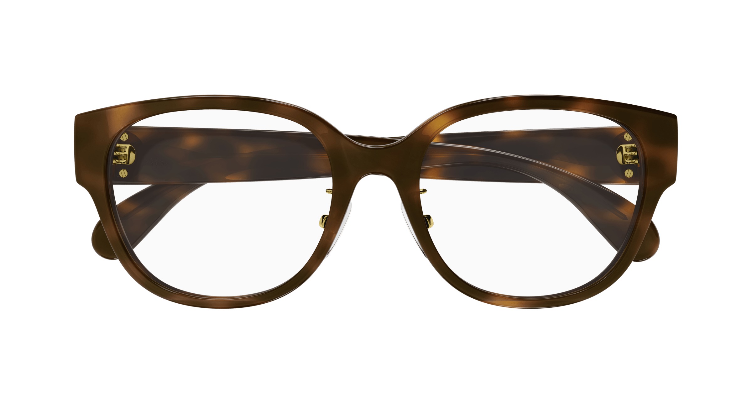 Gucci GG1411OK Havana 889652440798