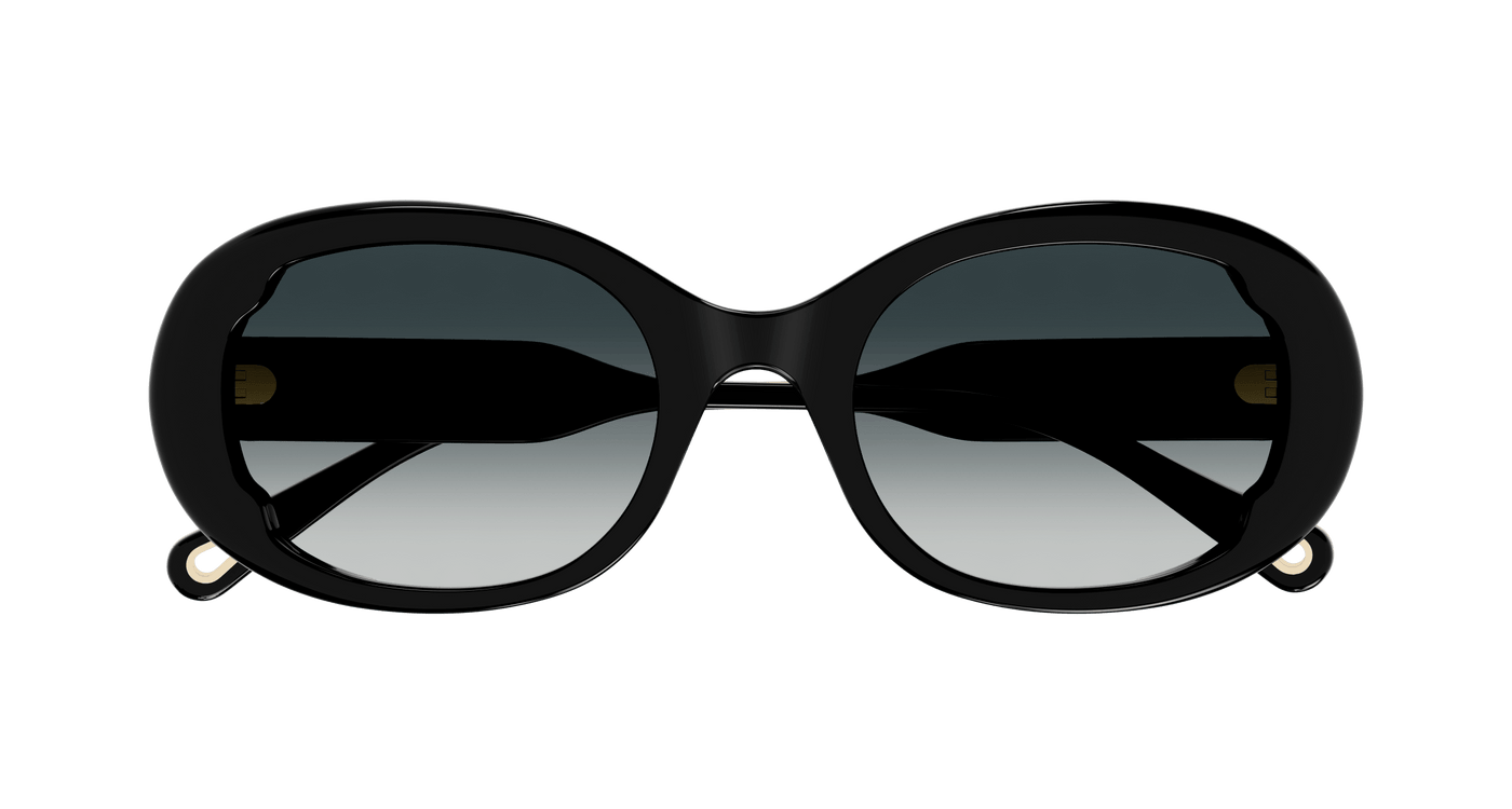 Chloe CH0197SA Sunglasses 889652452555