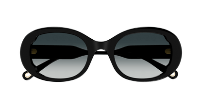 Chloe CH0197SA Sunglasses 889652452555