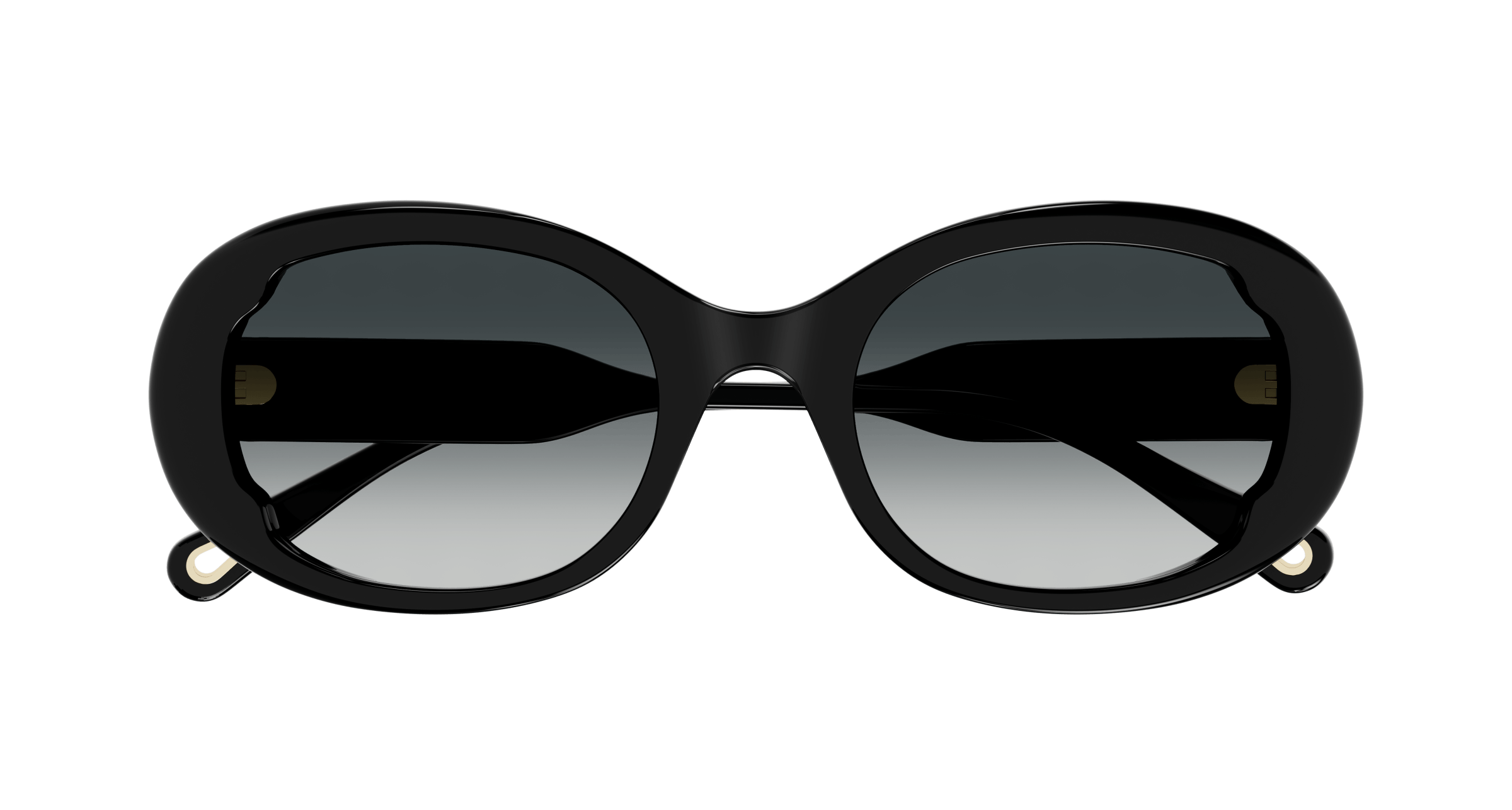 Chloe CH0197SA Sunglasses 889652452555