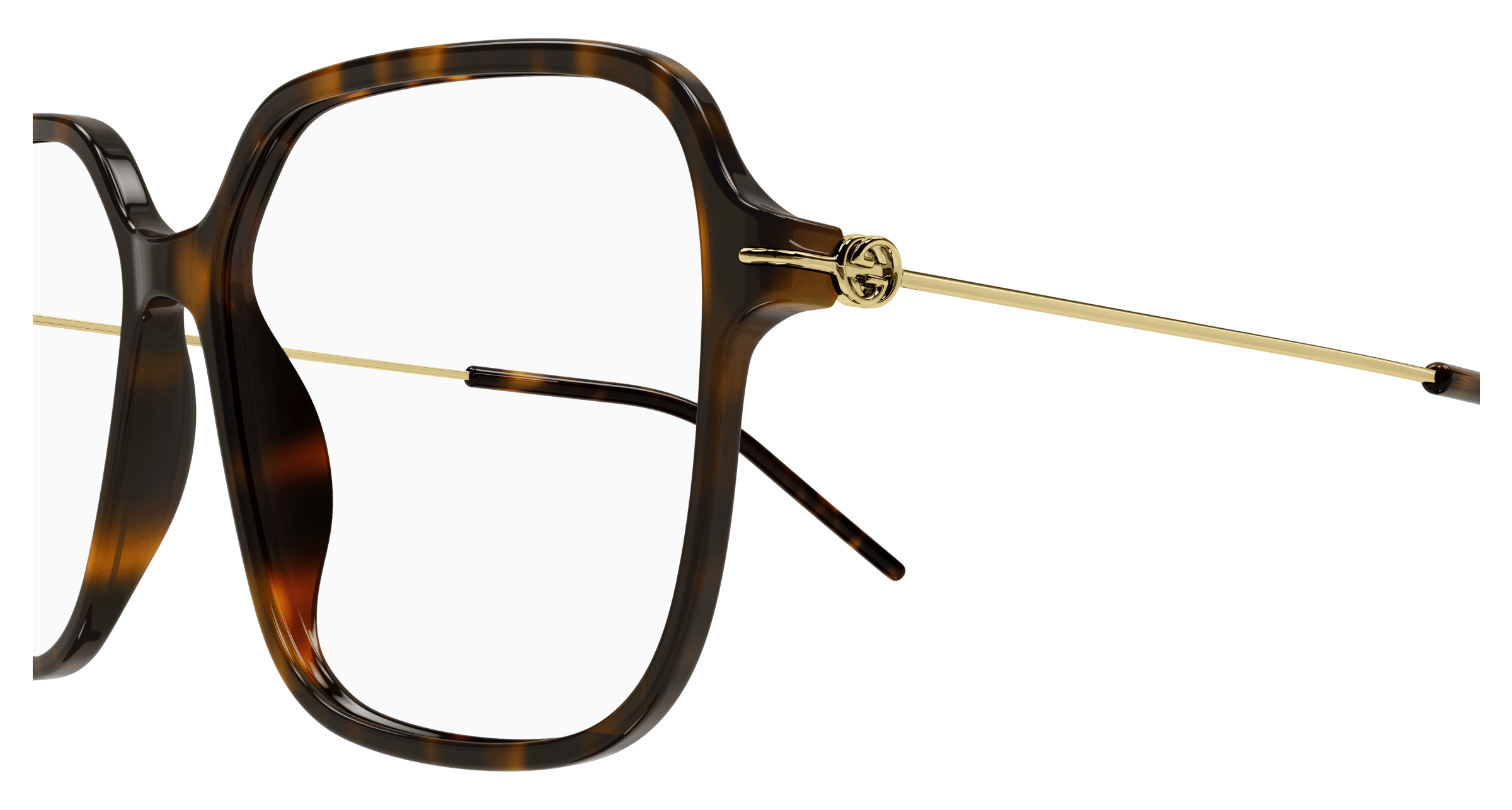 Havana Eyeglasses Gucci 889652416069