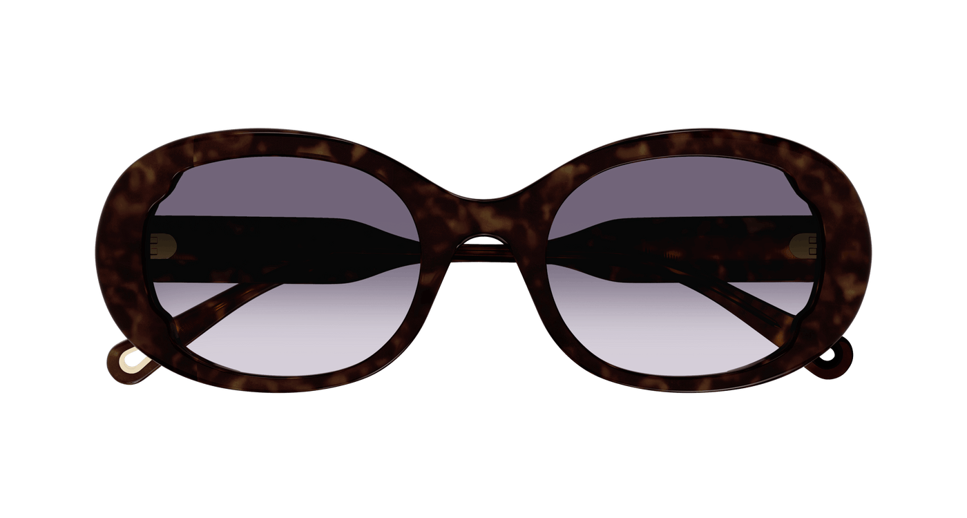 Chloe CH0197SA Sunglasses 889652452562