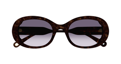Chloe CH0197SA Sunglasses 889652452562