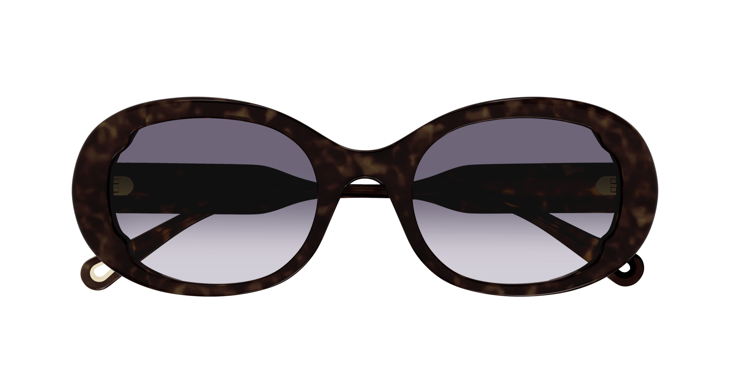 Chloe CH0197SA Sunglasses 889652452562