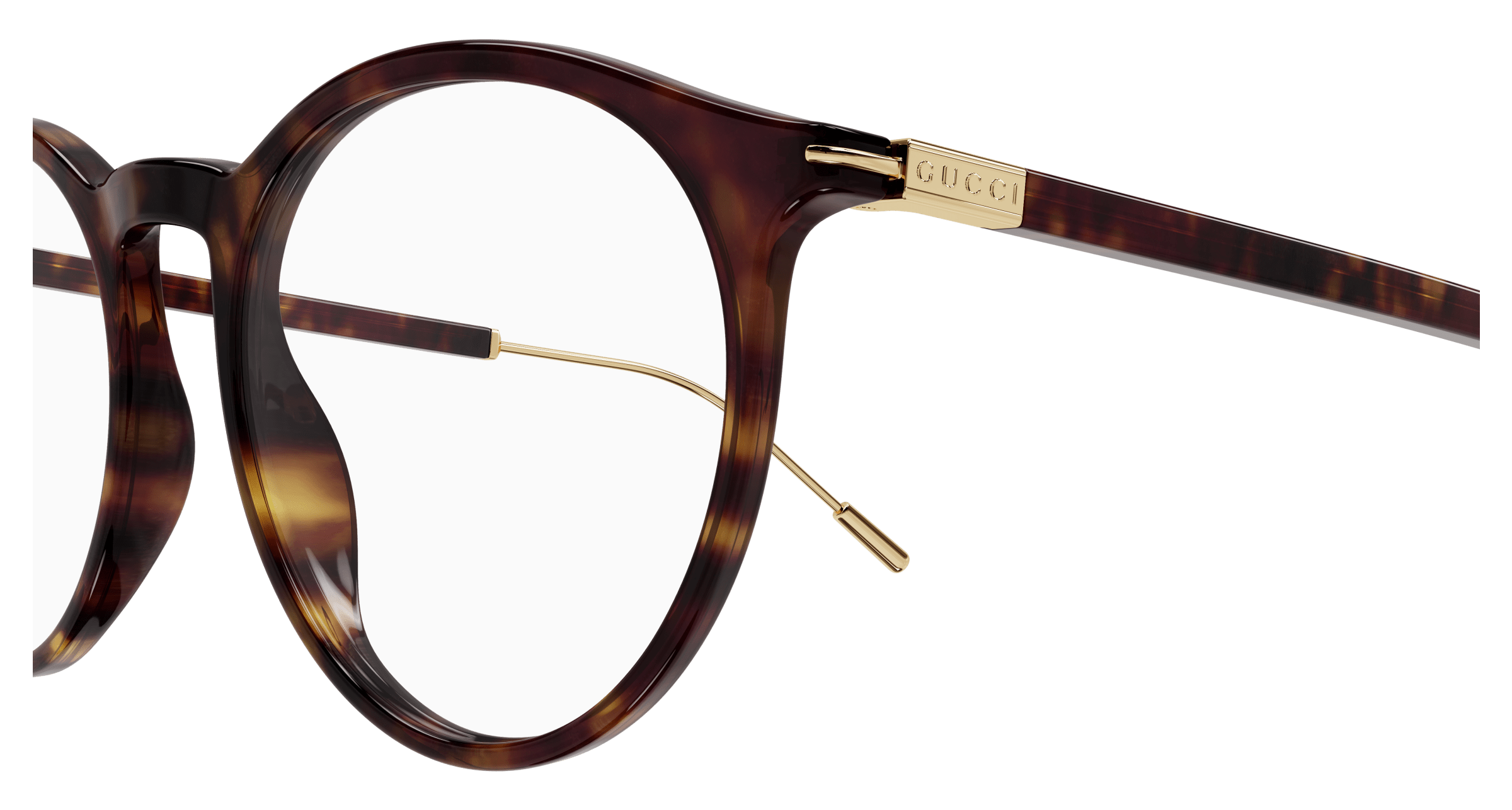 Havana Eyeglasses Gucci 889652415710