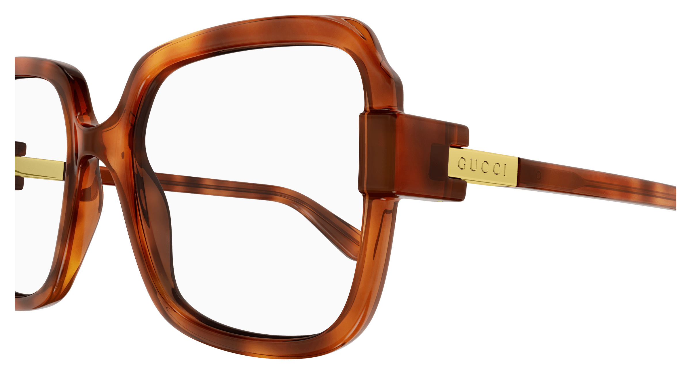 Havana Eyeglasses Gucci 889652438405