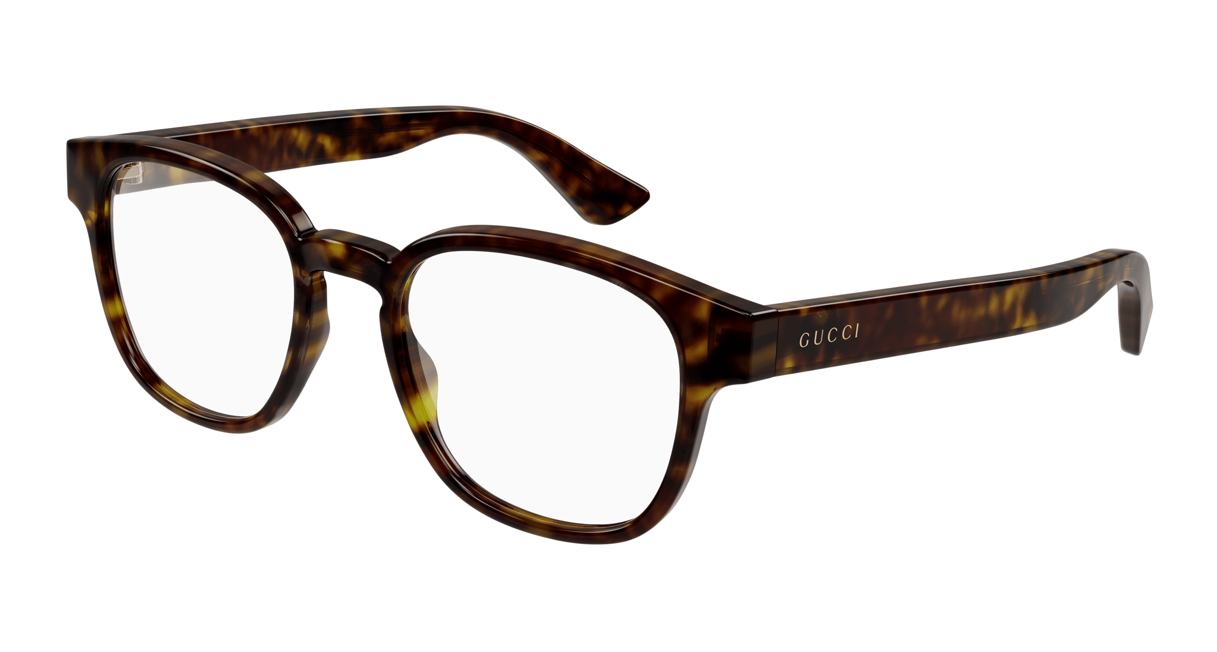 Havana Eyeglasses Gucci 889652413174