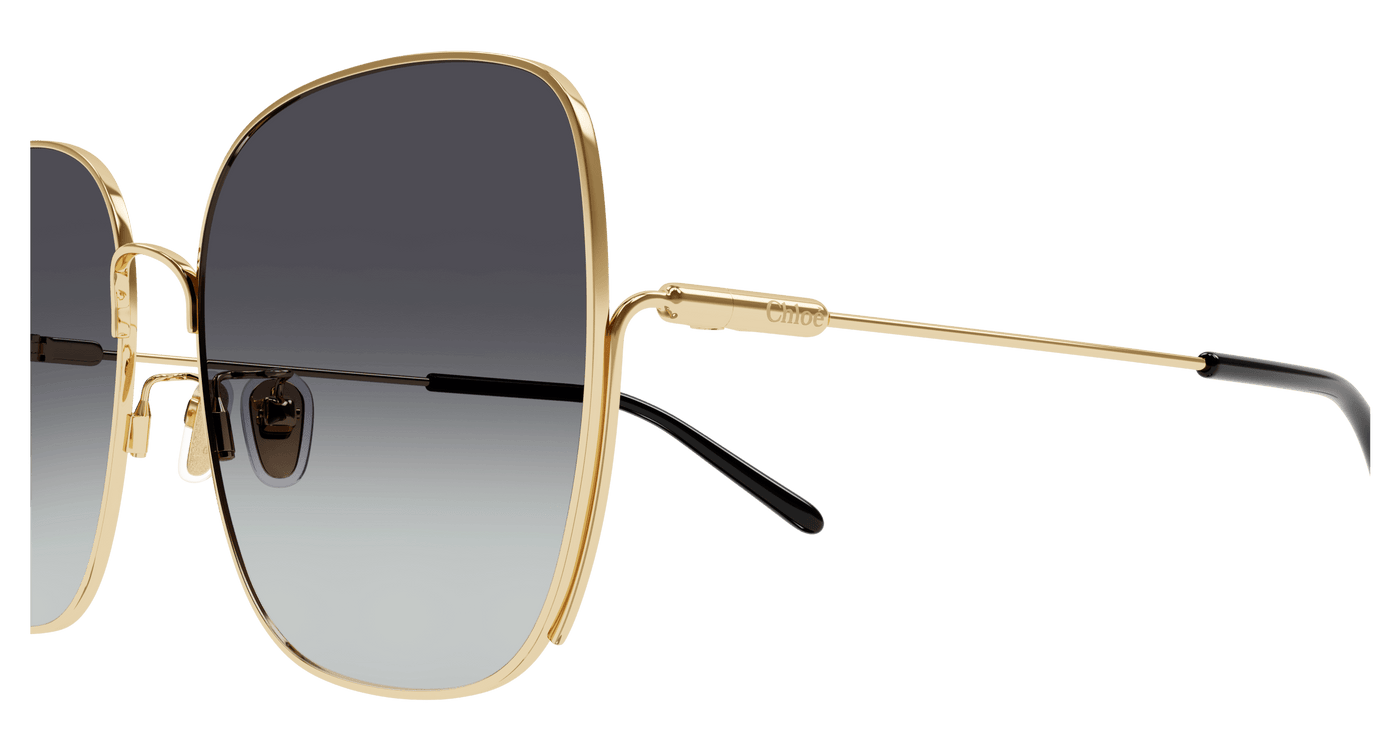 Chloe CH0170SA Sunglasses 889652452494