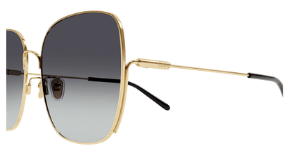 Chloe CH0170SA Sunglasses 889652452494