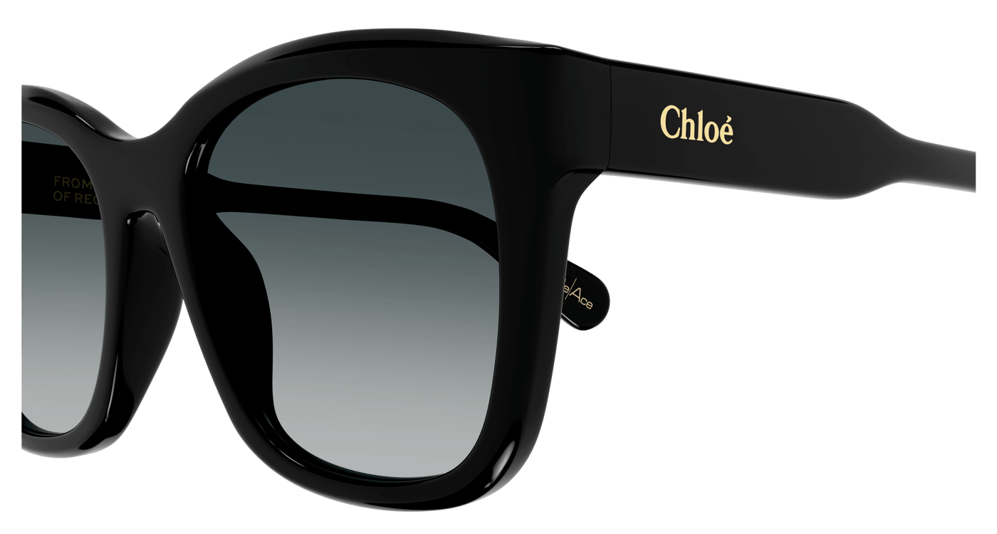 Chloe CH0194SK Sunglasses 889652450278