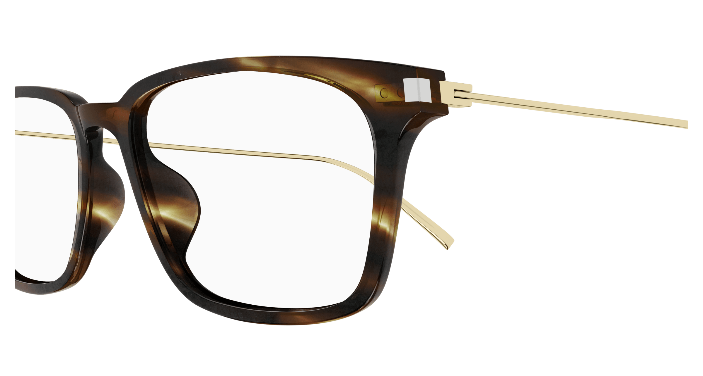 Havana Eyeglasses Saint Laurent 889652445991