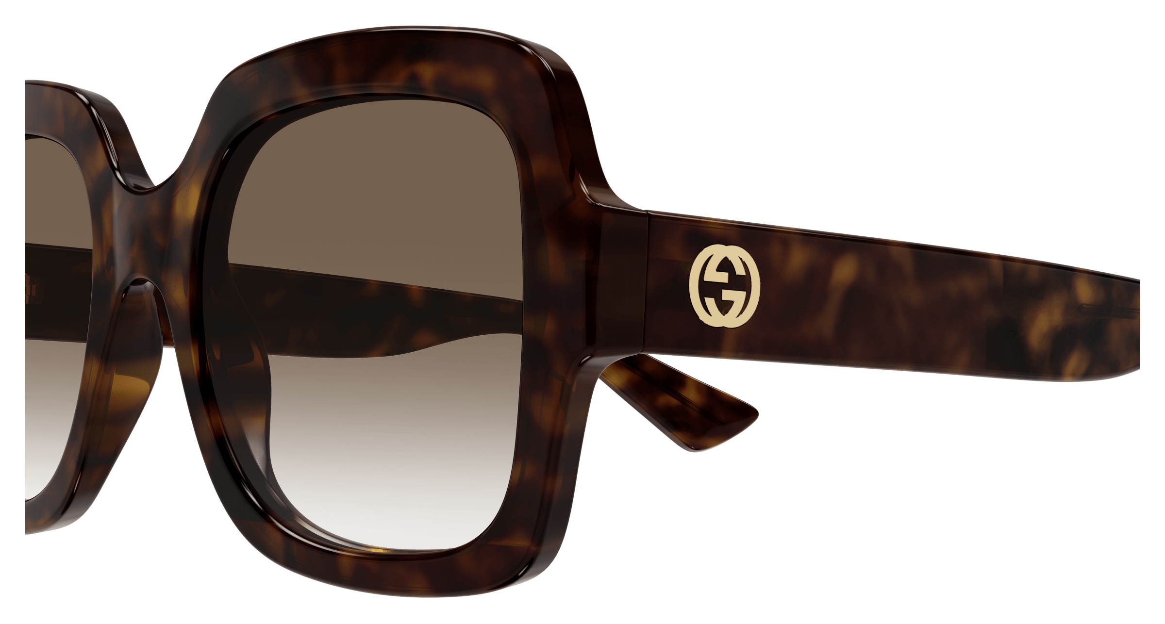 Havana Sunglasses Gucci 889652413075