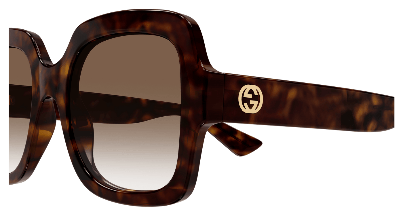 Havana Sunglasses Gucci 889652413075