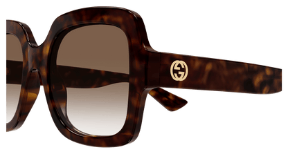 Havana Sunglasses Gucci 889652413075