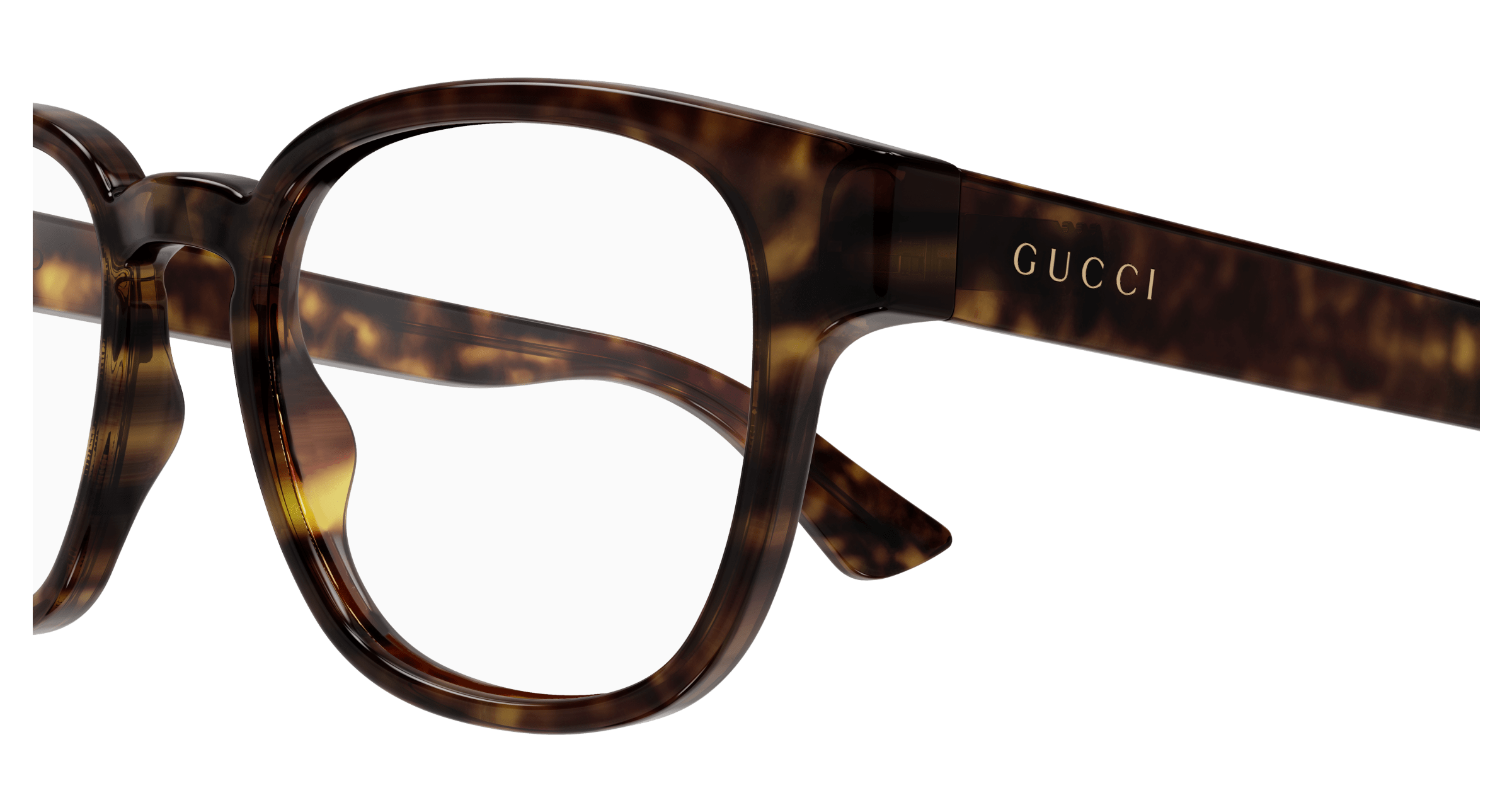 Havana Eyeglasses Gucci 889652413174