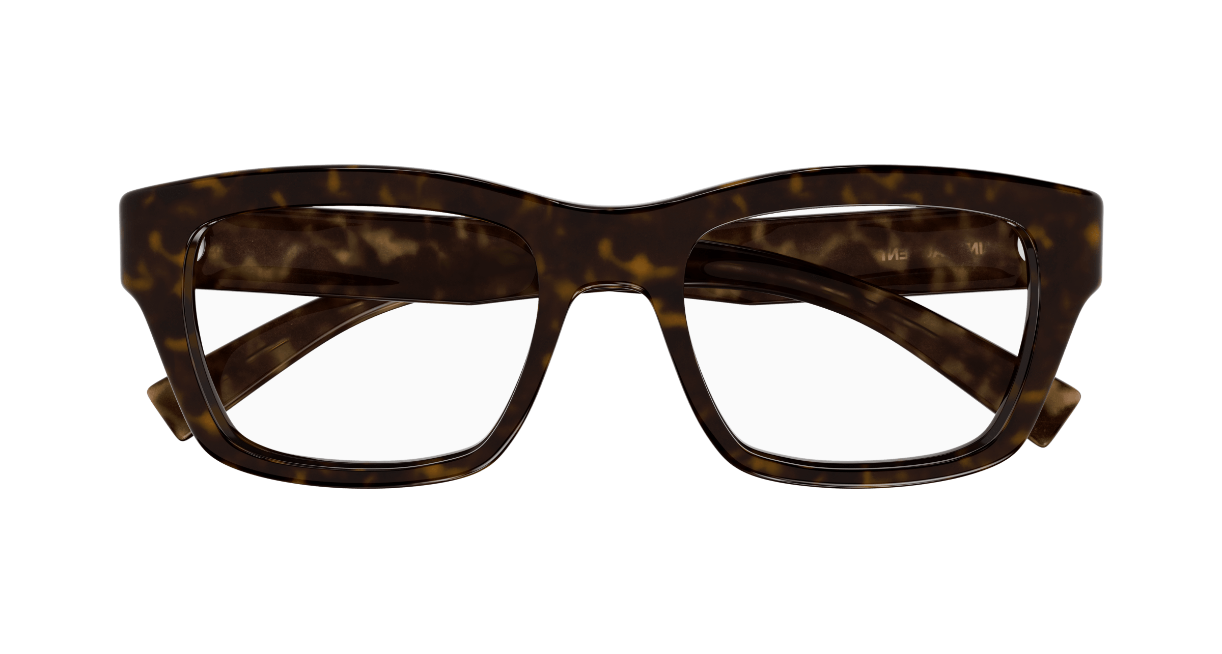 Havana Eyeglasses Saint Laurent 889652445458