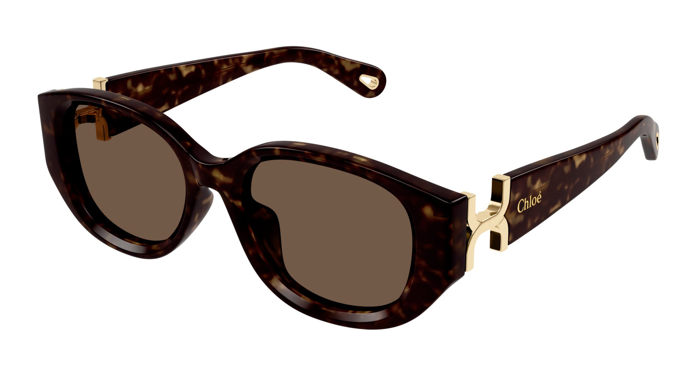 Chloe CH0237SK Sunglasses 889652482972
