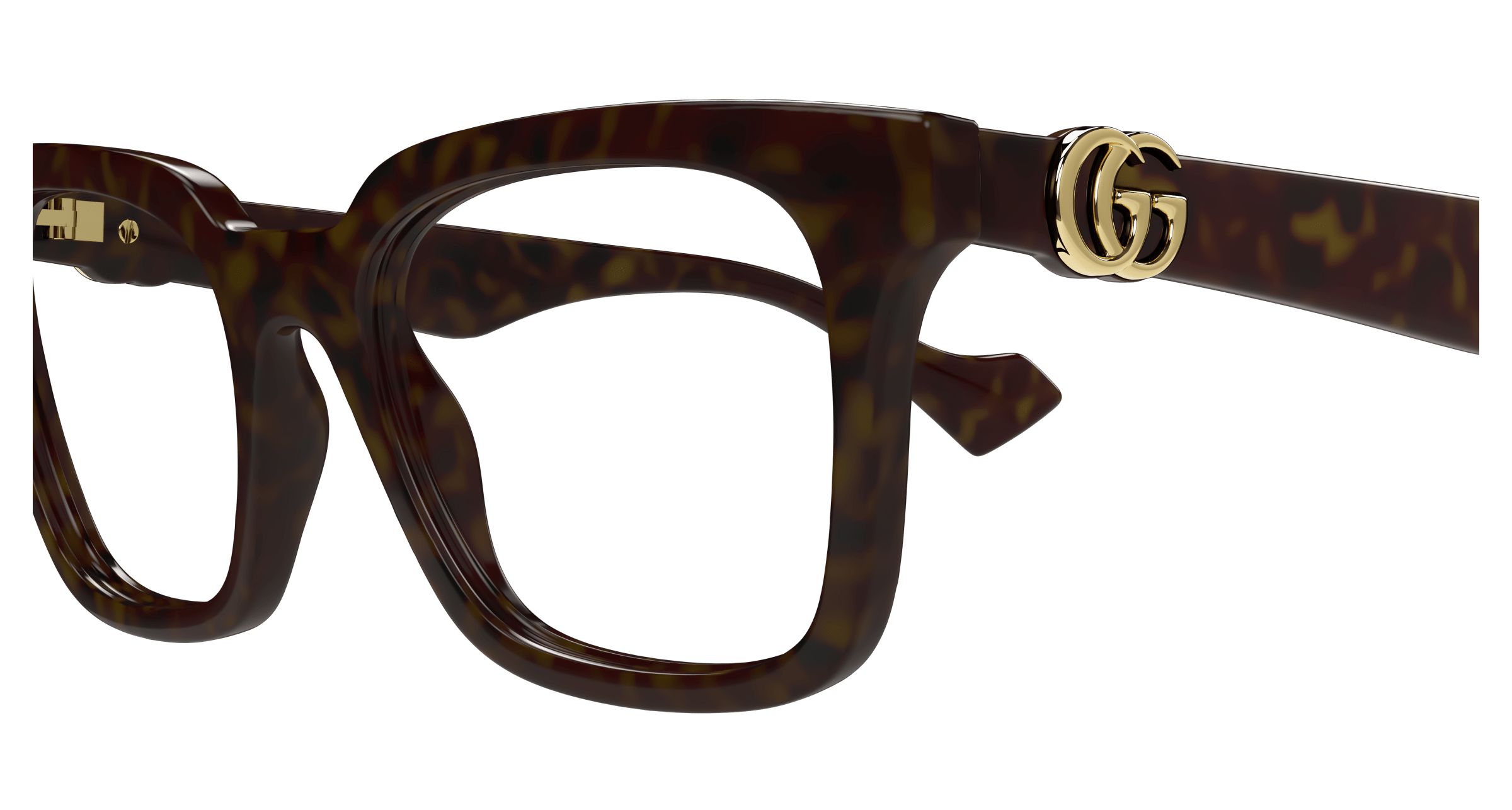 Havana Eyeglasses Gucci 889652500720