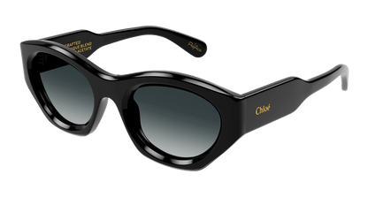 Chloe CH0220S Sunglasses 889652480923