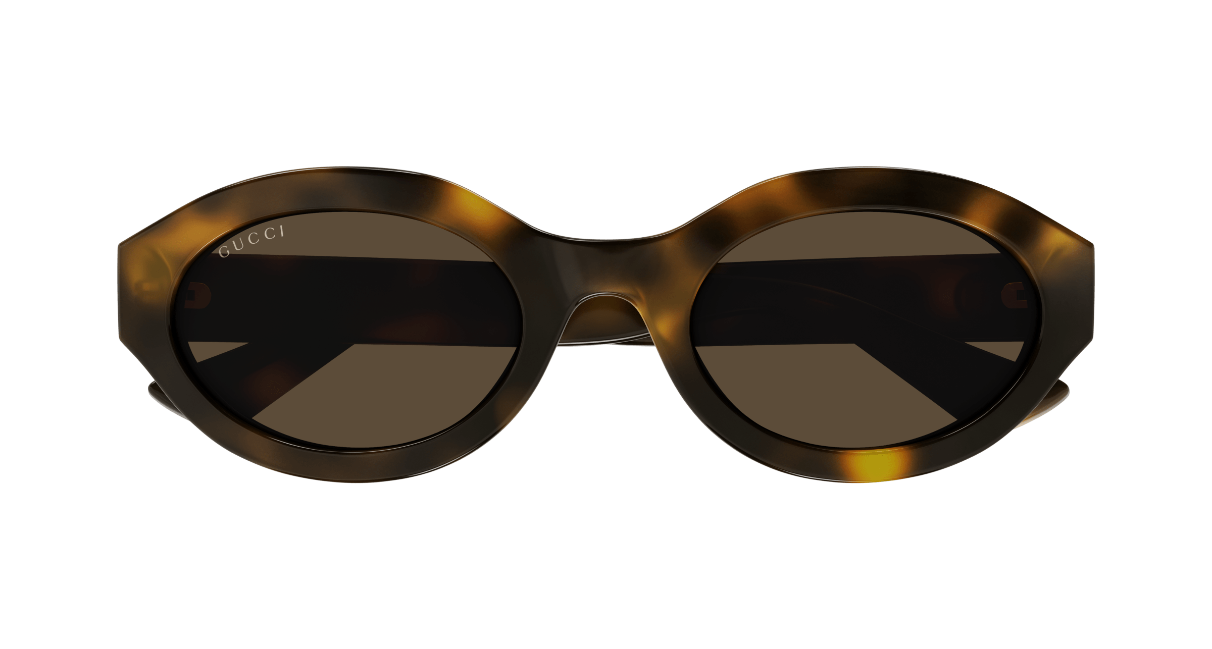 Havana Sunglasses Gucci 889652468990