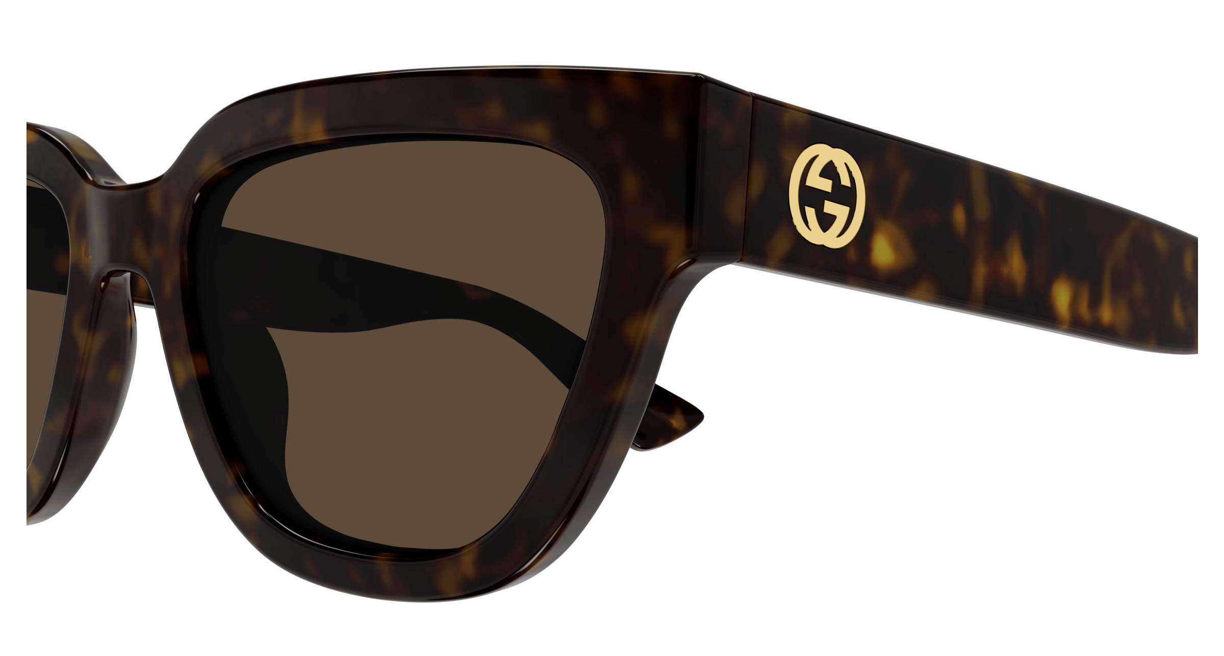 Havana Sunglasses Gucci 889652468914