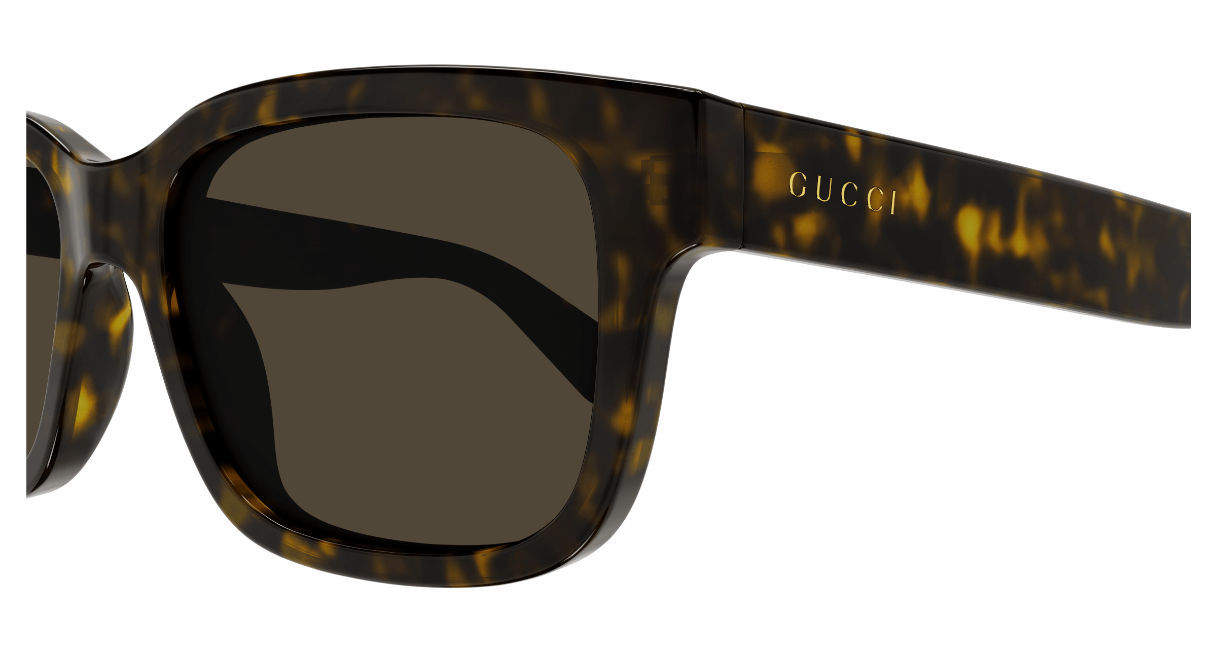 Havana Sunglasses Gucci 889652468952