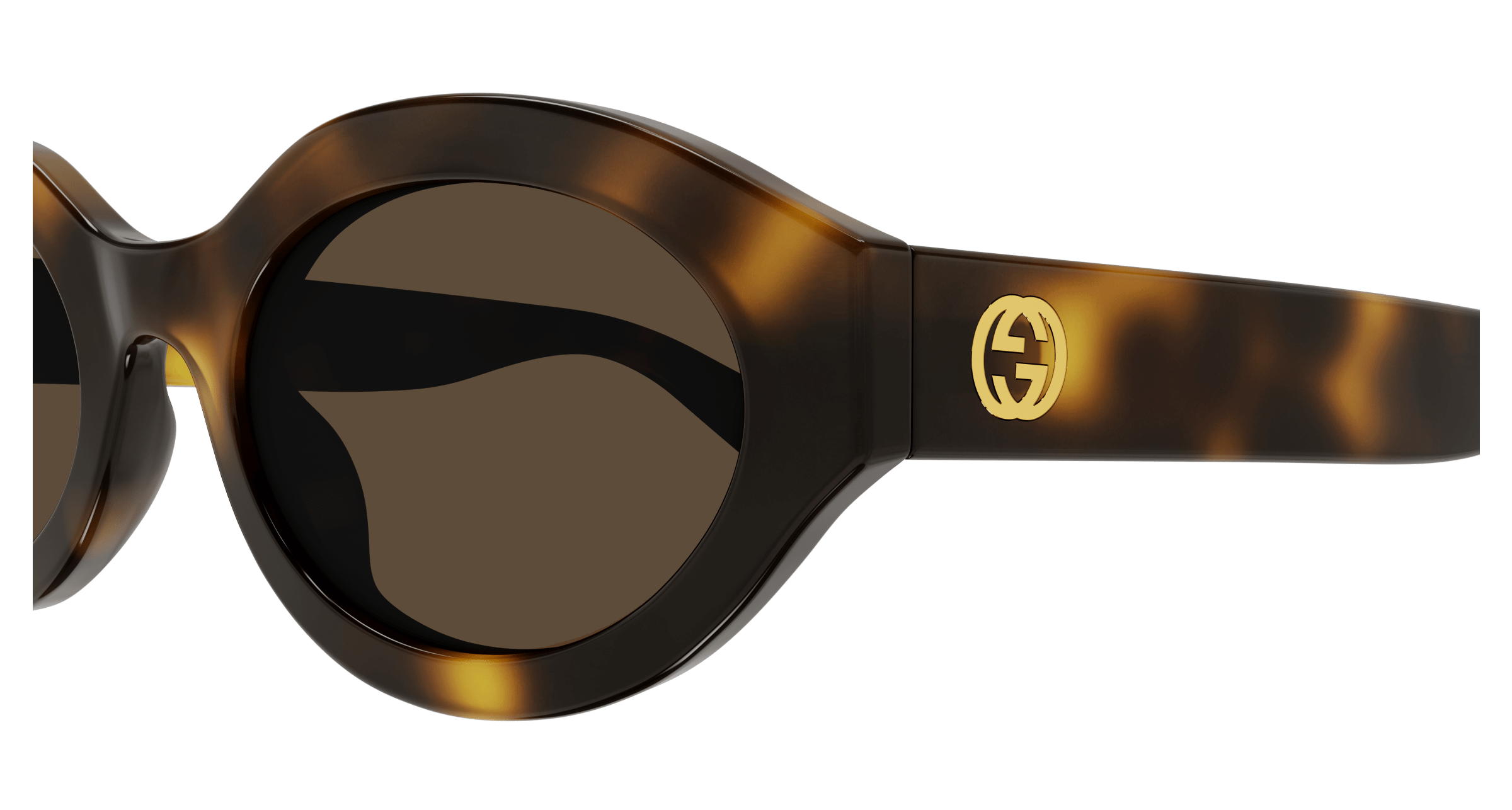 Havana Sunglasses Gucci 889652468990