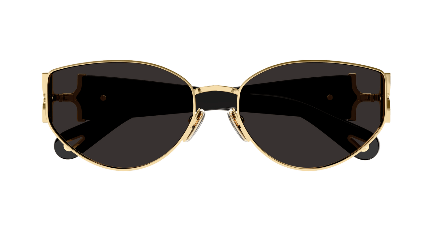 Chloe CH0260S Sunglasses 889652514888