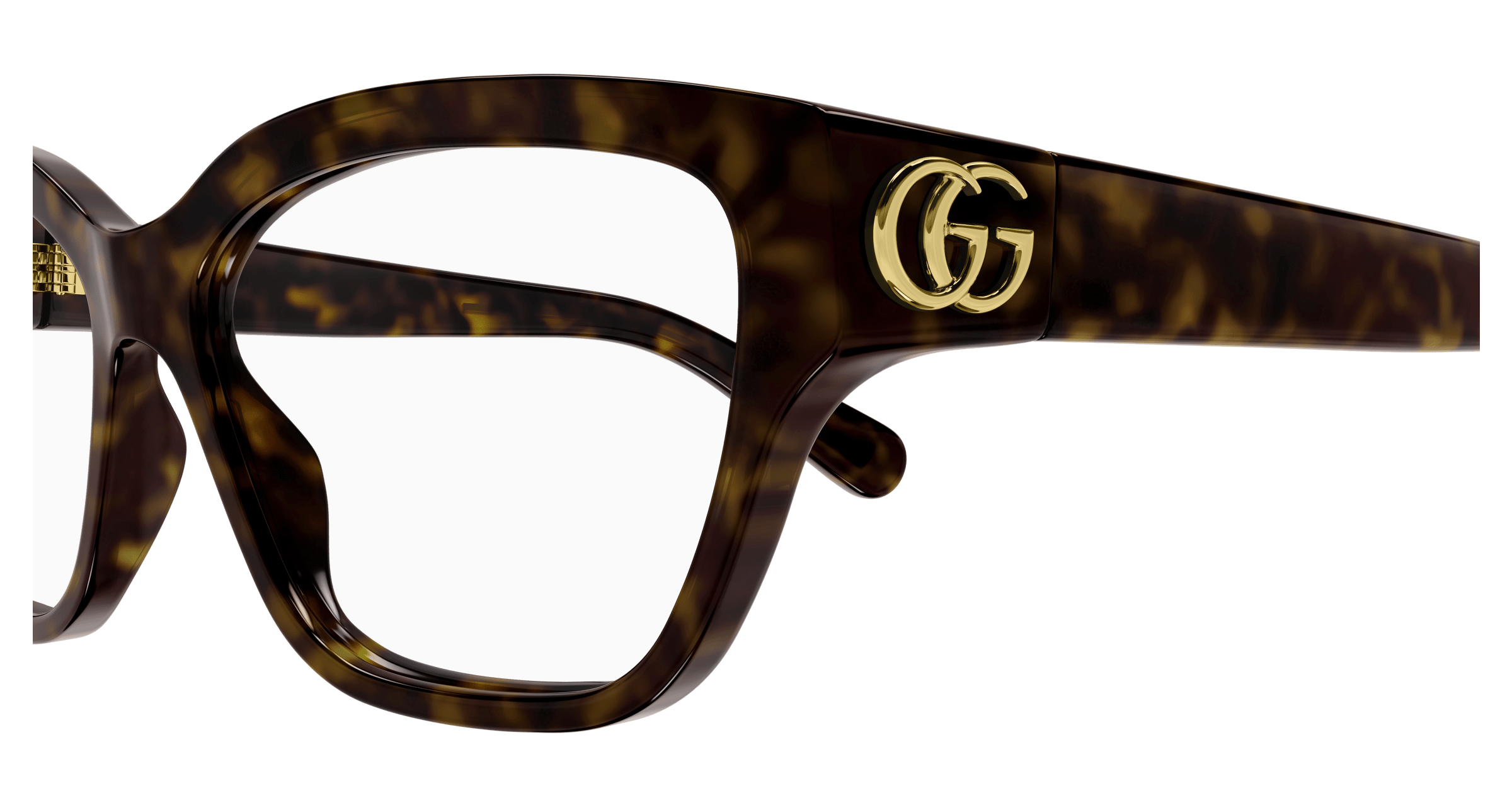 Havana Eyeglasses Gucci 889652468488